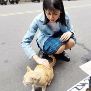 魚兒