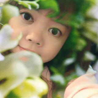 緹花