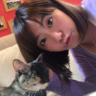 P醬
