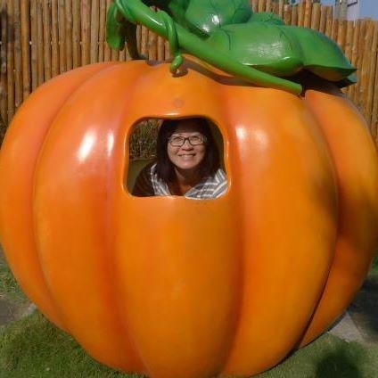 Hung Fei