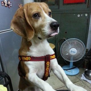 杜佳蒨