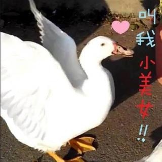宛臻