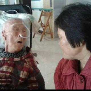 楊連豆