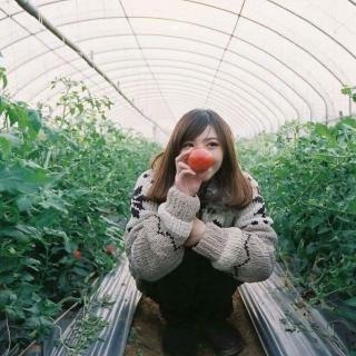 陳羽婷