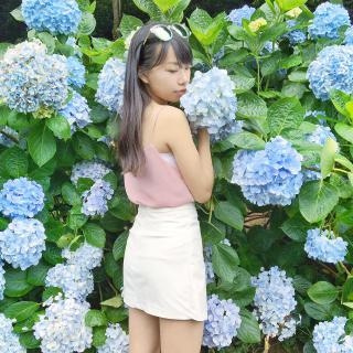 藝凝