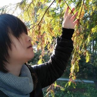 林美君