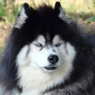 李庭杰