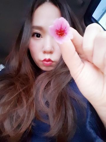 粉紅豹紋