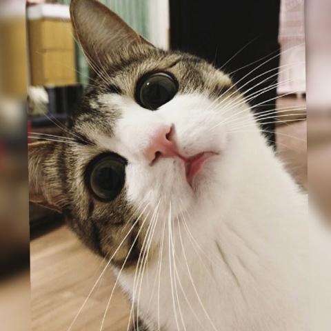 小幼