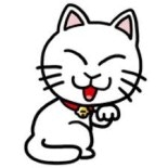 試用小亮亮