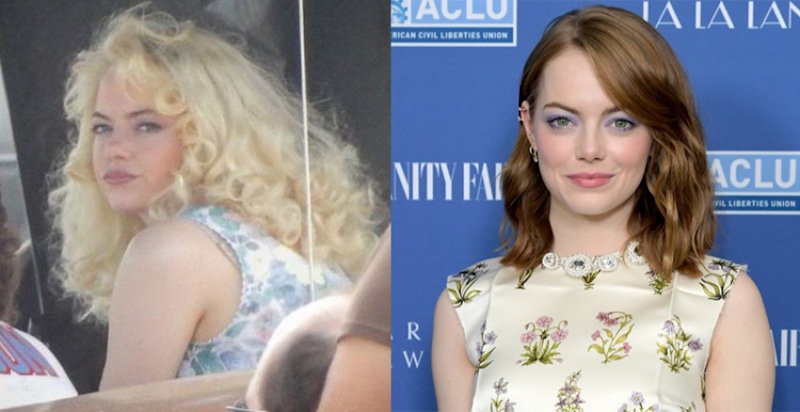 這顆半屏山花媽頭是誰？艾瑪史東人生第一部影集被整成神經病