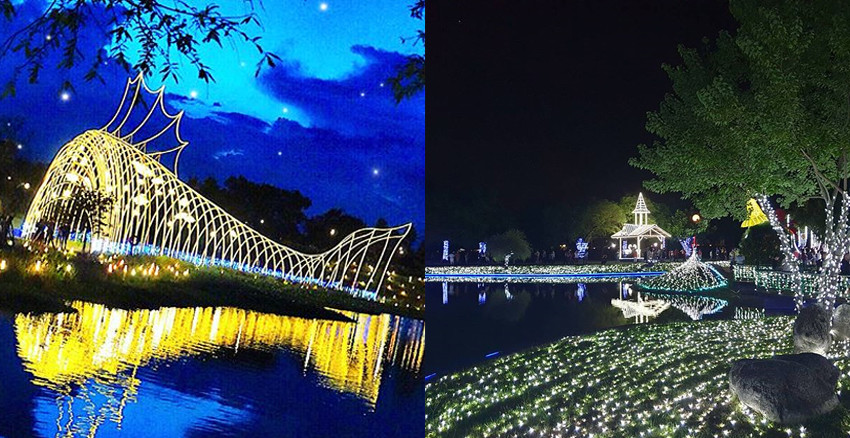 夜衝宜蘭絕對值得！夏日銀河秘境，彷彿一伸手就能摸得到星星～