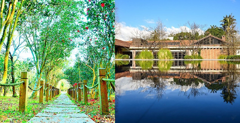 週休就去陽明山一日遊吧！5個陽明山私房景點推薦，讓你輕鬆拍出一本寫真集～｜旅遊景點