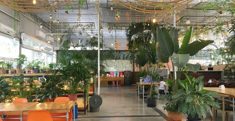 被花草包圍的IG人氣森系早午餐打卡點～悠閒假日早晨來北屯享用美食同時滋養一下身心靈吧！｜美食推薦