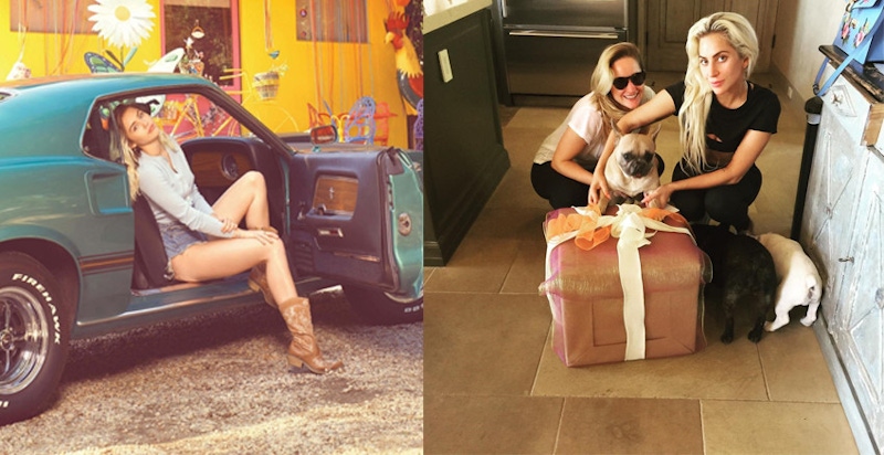 加州豪宅區上演森林大火，大明星不小心變成了災難片主角｜名人焦點