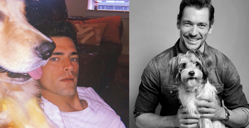 韓媒票選最性感「狗爸」就是他們～真羨慕被他緊緊擁抱的汪星人！｜男星焦點