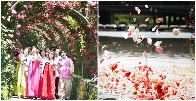 被玫瑰花海包圍的首爾，你看過嗎？一定要帶男友來打卡啊｜韓國旅遊景點推薦