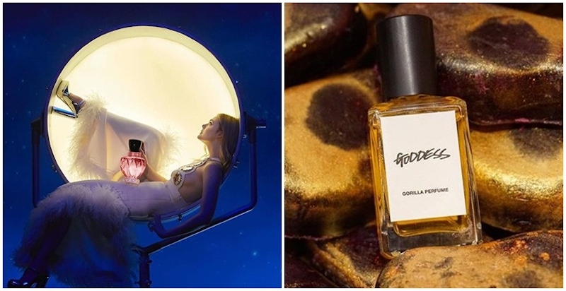 獨一無二才是真香！5支小眾香水讓你聞起來像女神。。。｜香水推薦