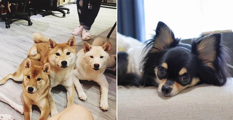 你有憂鬱傾向嗎？一張圖告訴你有多憂鬱，快快尋找正能量吧｜心理測驗