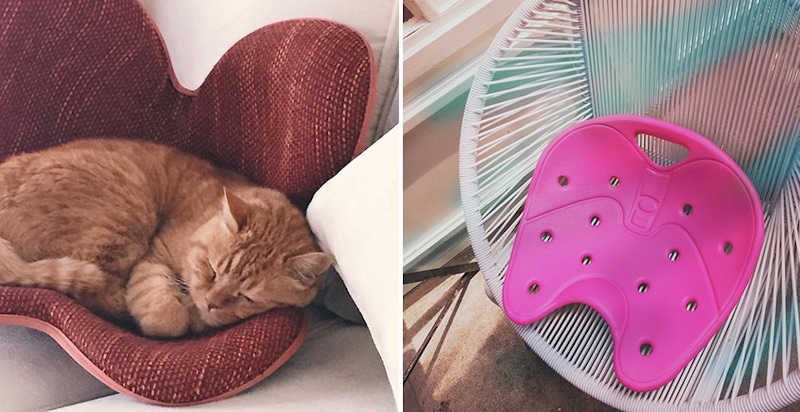 久坐也不怕駝背、大屁股～推薦有感美姿座墊，辦公不怕變醜女｜生活小物推薦