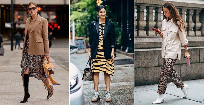 提升穿搭氣勢少不了它~掌握搭配3原則，穿動物紋也能添氣質｜穿搭技巧