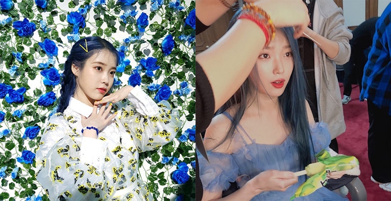 小精靈藍超毀髮質~IU自嘲秀髮像狗毛，粉絲送上韓網好評護髮乳｜護髮乳推薦