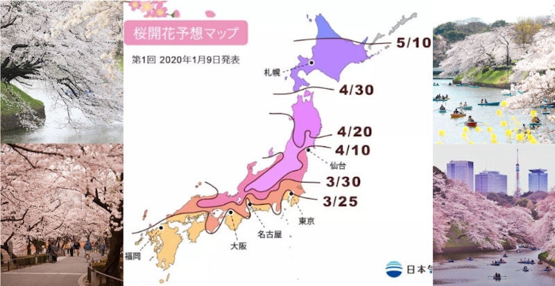 主管不在，快上網查廉航機票～日本東京3月櫻滿開，現在就來安排賞櫻小旅行｜賞櫻攻略