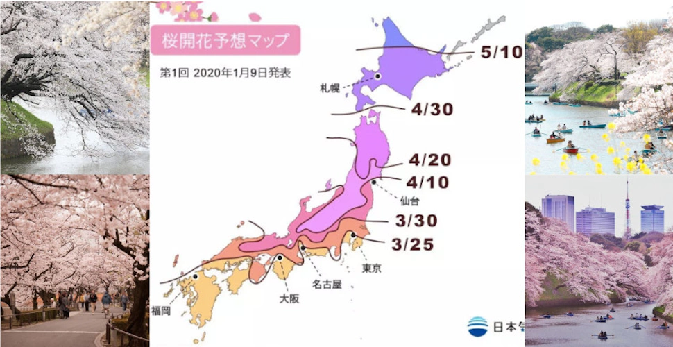 主管不在，快上網查廉航機票～日本東京3月櫻滿開，現在就來安排賞櫻小旅行｜賞櫻攻略