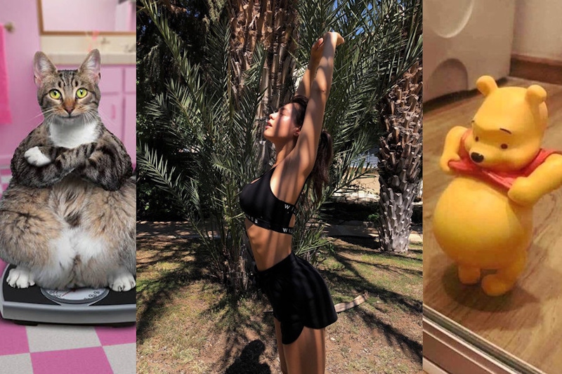 坐著瘦肚子！瑜珈老師直傳瘦肚子運動，兩招擊退久坐肥肚肚｜瑜珈教學