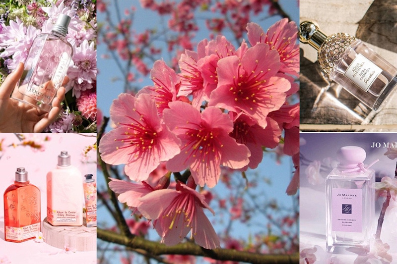 春季新推出櫻花香水，一噴讓你彷彿置身櫻花林！｜香水推薦