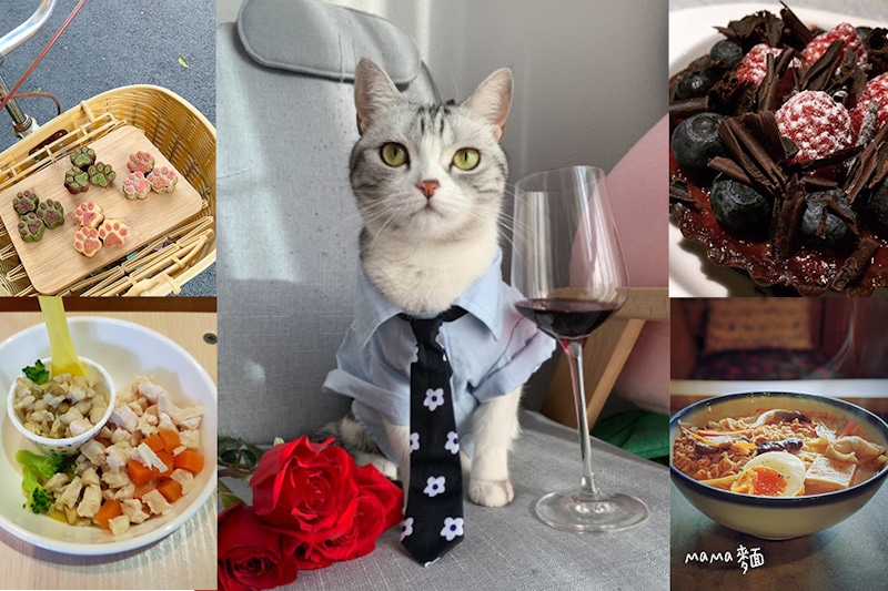 沒什麼是擼貓解決不了的！5間台北貓咪餐廳推薦，輕鬆趕走妳憂鬱壞烏雲～｜貓咪咖啡店推薦