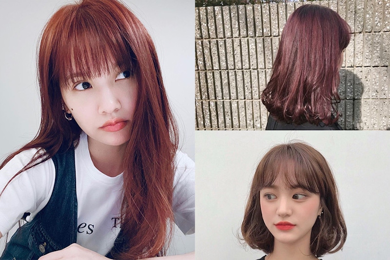 楊丞琳新髮「蜜糖紅茶色」五大超顯白髮色，今年夏天髮色就染這色！｜髮色推薦