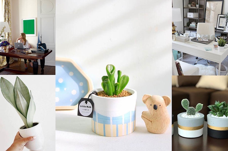 辦公室盆栽好療癒～防小人還是招桃花，妳擺對辦公室植栽了嗎？｜知識文