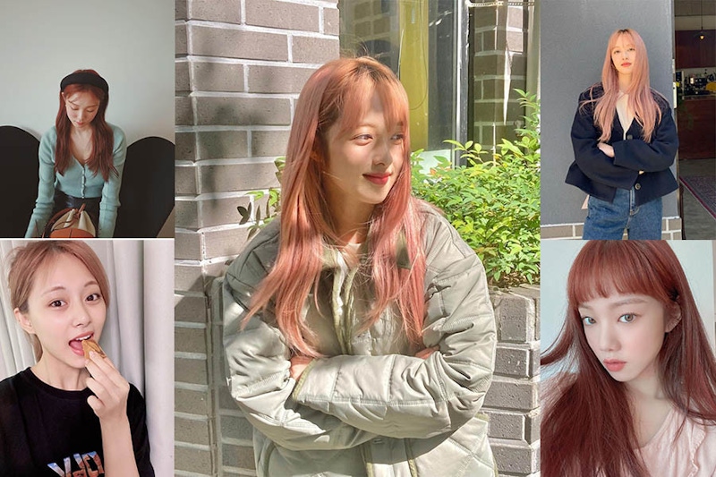 秋冬最亮浪漫染髮「棉花糖淺粉、紅棕」寶羅、聖經都染了～讓人好想咬一口｜髮色推薦