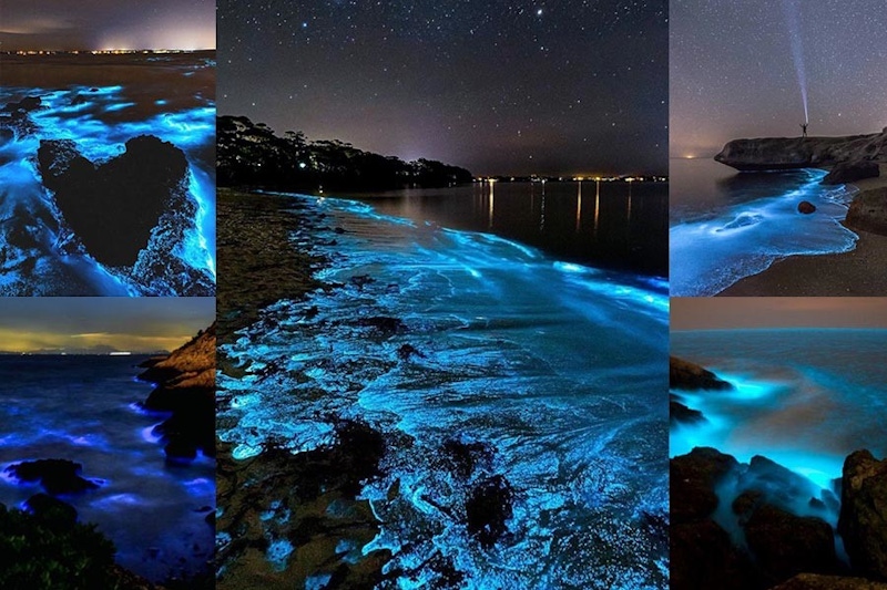 馬祖旅遊季節限定《藍眼淚》全盛期到,絕美景象彷彿置身夢幻星空|景點推薦 馬祖旅遊季節限定《藍眼淚》全盛期到,絕美景象彷彿置身夢幻星空|景點推薦