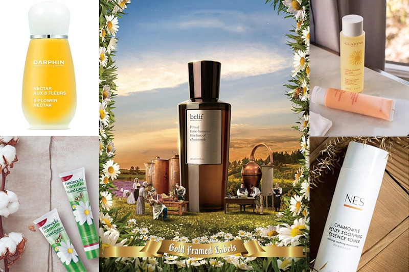 敏感肌保養品盤點！修護曬後肌膚、舒緩泛紅不適，洋甘菊保養號稱舒敏專家｜洋甘菊保養推薦