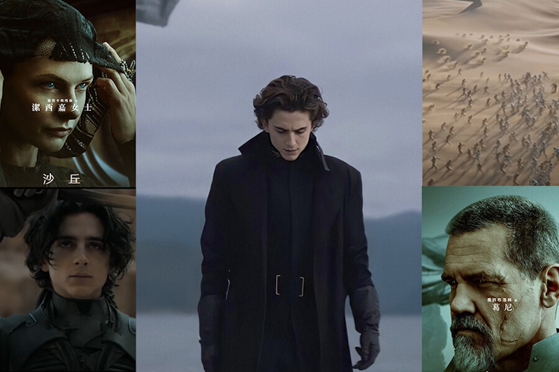 「甜茶」提摩西夏勒梅新電影《沙丘》曝光：唯有戰勝恐懼之人得以勝利，4大亮點帶你看
