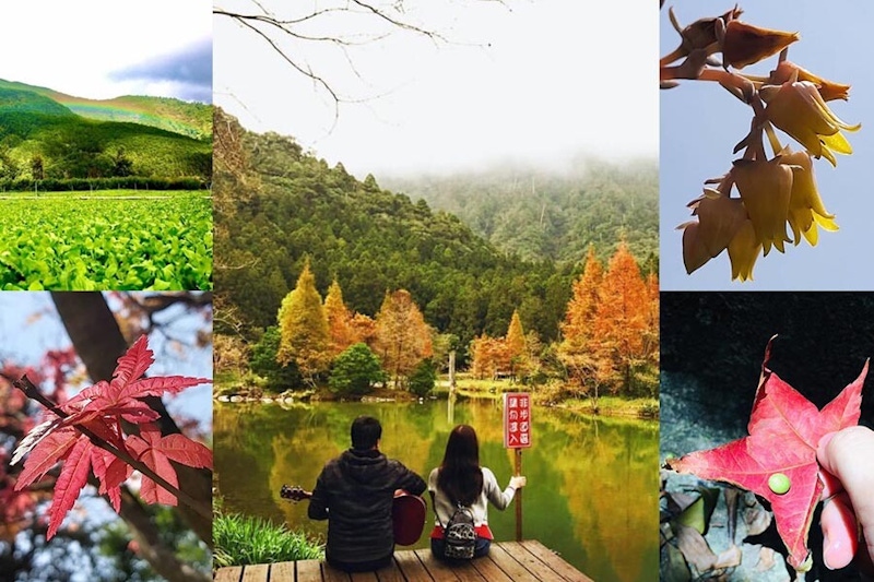 楓葉季~秋限定5個台灣賞楓景點一定要打卡!秋意徐風微微的天氣,出遊踏青再合適不過~ 楓葉季~秋限定5個台灣賞楓景點一定要打卡!秋意徐風微微的天氣,出遊踏青再合適不過~
