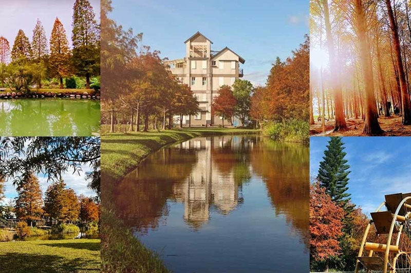 全台5個觀賞落羽松打卡秘境，2021冬限定景點，不用出國也能享有絕美的歐洲美景～｜旅遊景點